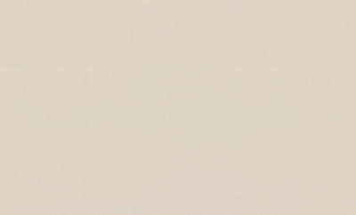 Обои HC72561-24 (8) винил.горячего тиснения на флиз. основе 1,06*10,05 Lino HomeColor