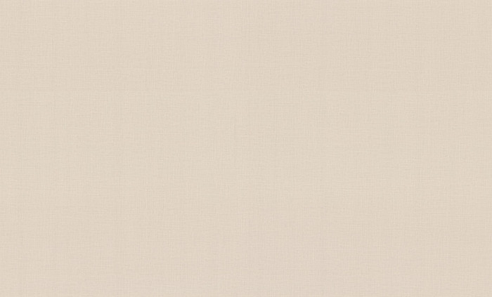 Обои HC72561-24 (8) винил.горячего тиснения на флиз. основе 1,06*10,05 Lino HomeColor
