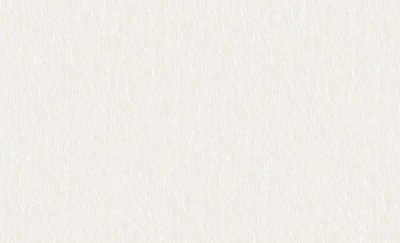 Обои 60499-05 (6) винил.горячего тиснения на флиз. основе 1,06*10,05  Basic Erismann