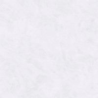 Обои 61038-01 (6) винил.горячего тиснения на флиз. основе 1,06*10,05 Juliana Erismann