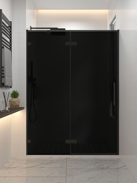 Душевая дверь распашная Veconi Premium Alassio BB, 1400х2000, черный матовый, стекло черное