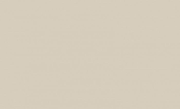 Обои 8821-09 (6) винил. горячего тиснения на флиз. основе 1,06*10,05  Cascade WallSecret Basic