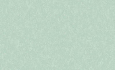 Обои 60588-06 (6) винил.горячего тиснения на флиз. основе 1,06*10,05  Basic Erismann