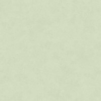 Обои 60323-05 (6) винил.горячего тиснения на флиз. основе 1,06*10,05 Долорес Erismann