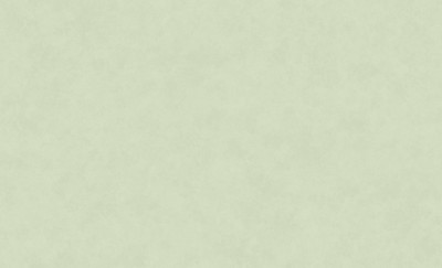 Обои 60323-05 (6) винил.горячего тиснения на флиз. основе 1,06*10,05 Долорес Erismann