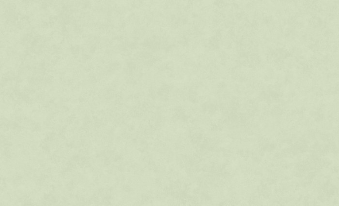Обои 60323-05 (6) винил.горячего тиснения на флиз. основе 1,06*10,05 Долорес Erismann