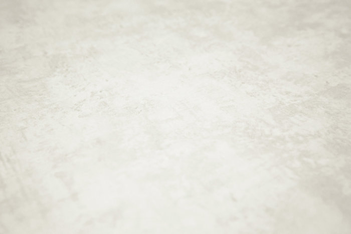 Обои виниловые на флизелиновой основе Трофи база, белый, KERAMA MARAZZI