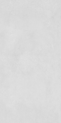 Concrete Light grey (R2) (Конкрит светло-серый) Steppe Ceramics Керамогранит 600*1200 мат (0,72*2=1,44*30) Актобе Казахстан