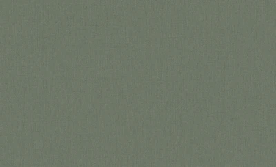 Обои 61041-06 (6) винил.горячего тиснения на флиз. основе 1,06*10,05 Aeris Erismann