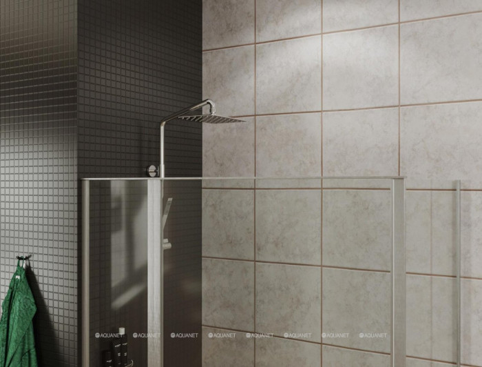 Душевой уголок Allen Brau Priority 90x100 3.31025.00 + 3.31046.00 хром