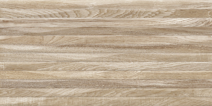Плитка настенная Эйфория TWU2550EPH44 249x500