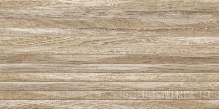 Плитка настенная Эйфория TWU2550EPH44 249x500