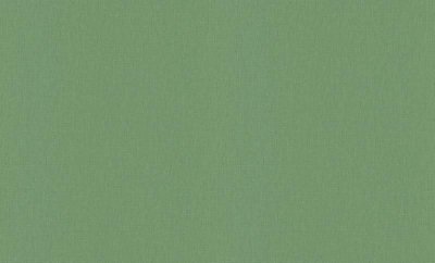 Обои 12193-07 (6) винил. горячего тиснения на флиз. основе 1,06*10,05 Martinique Erismann