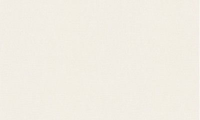 Обои 12143-01 (6) винил. горячего тиснения на флиз. основе 1,06*10,05 Casual Chic Erismann