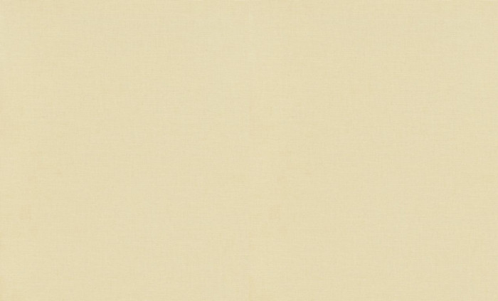 Обои 12143-02 (6) винил. горячего тиснения на флиз. основе 1,06*10,05 Casual Chic Erismann
