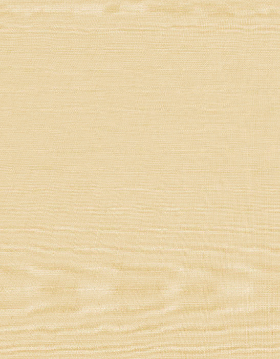 Обои 12143-02 (6) винил. горячего тиснения на флиз. основе 1,06*10,05 Casual Chic Erismann