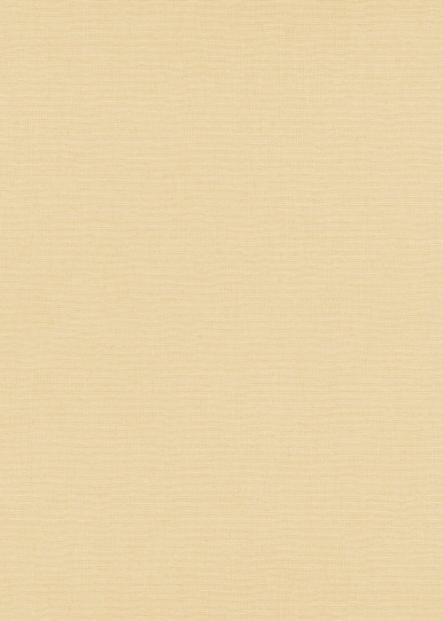 Обои 12143-02 (6) винил. горячего тиснения на флиз. основе 1,06*10,05 Casual Chic Erismann