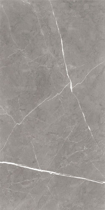 GT120603001MCR Плитка грес глаз. Encanto GT Серый 60*120 карвинг  1 \43,2