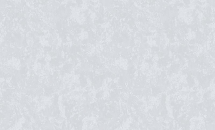 Обои 60995-03 (6) винил.горячего тиснения на флиз. основе 1,06*10,05 Benefit Mirabelle Erismann, шт
