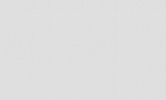 Обои TC72460-14 (6) винил.горячего тиснения на флиз. основе 1,06*10,05 TREND Nature TrendColor