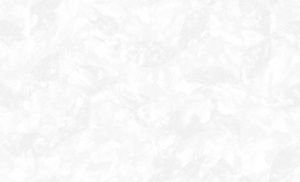 Обои 60637-02 (6) винил.горячего тиснения на флиз. основе 1,06*10,05 Andrea Erismann