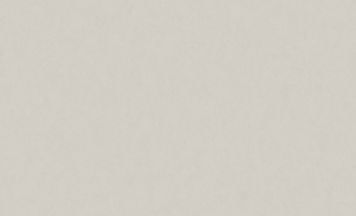Обои 60969-03 (6) винил.горячего тиснения на флиз. основе 1,06*10,05 Benefit Mercury Erismann