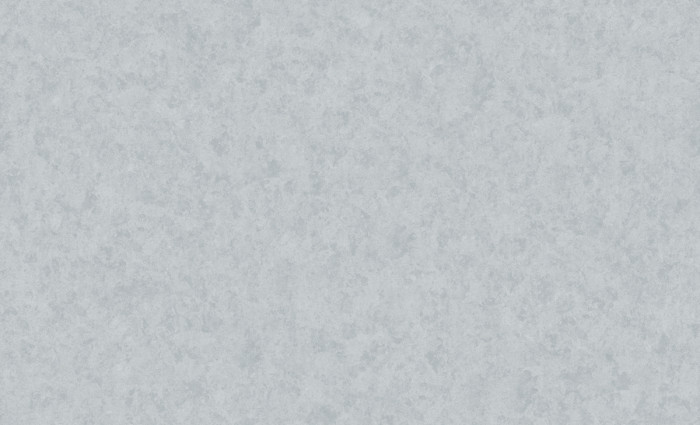 Обои 60969-05 (6) винил.горячего тиснения на флиз. основе 1,06*10,05 Benefit Mercury Erismann