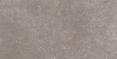 GT184VG Керамогранит Coral Rock GT Темно-серый 30x60   1\58,32
