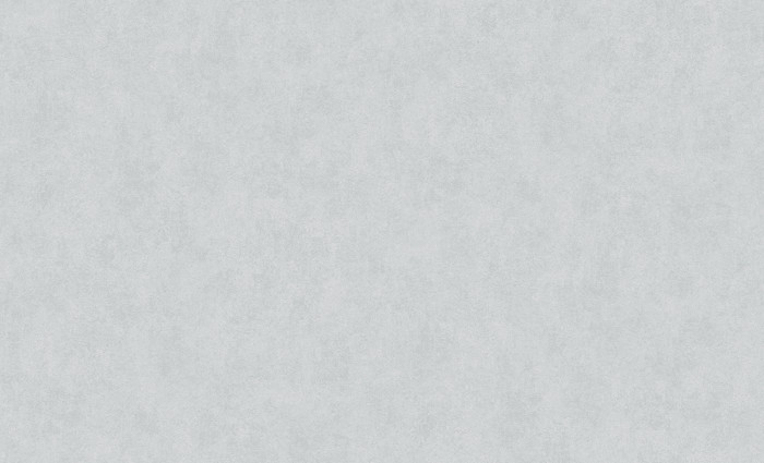 Обои 60706-05 (6) винил.горячего тиснения на флиз. основе 1,06*10,05 Monolit Erismann