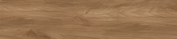 Керамогранит Эштон GFA92ATN44R 200x900