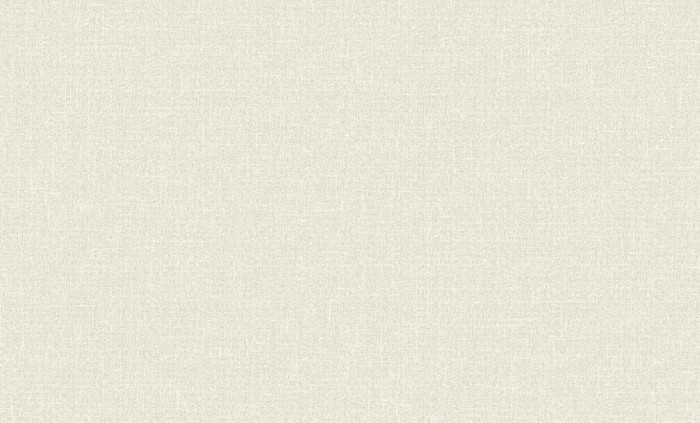 Обои 60979-03 (6) винил.горячего тиснения на флиз. основе 1,06*10,05 Basic Comfi Erismann