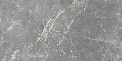 GT99VG Плитка облиц. Capella GT Сер. 50*25   1 \74,25
