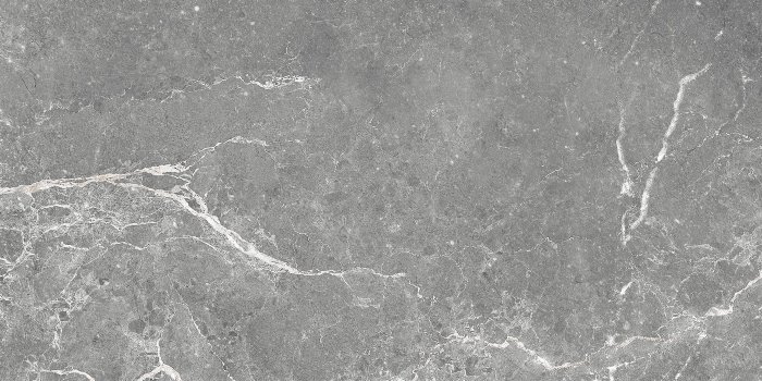 GT99VG Плитка облиц. Capella GT Сер. 50*25   1 \74,25