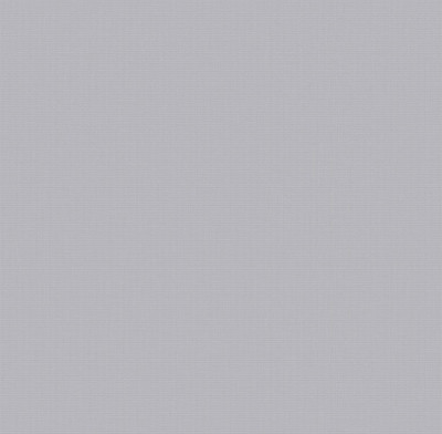Обои 585257 (6) винил. горячего тиснения на флиз. основе 1,06*10,05 Dream Стенова