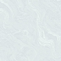 Обои 60611-07 (6) винил.горячего тиснения на флиз. основе 1,06*10,05 Rivo Erismann