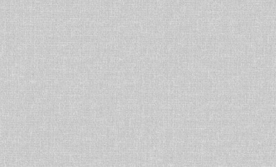 Обои 60979-05 (6) винил.горячего тиснения на флиз. основе 1,06*10,05 Basic Comfi Erismann
