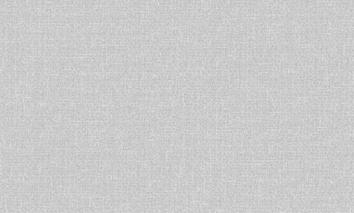 Обои 60979-05 (6) винил.горячего тиснения на флиз. основе 1,06*10,05 Basic Comfi Erismann