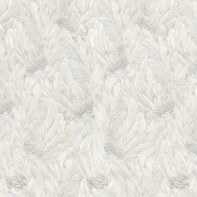 Обои Roberto Cavalli Roberto Cavalli №9 21003