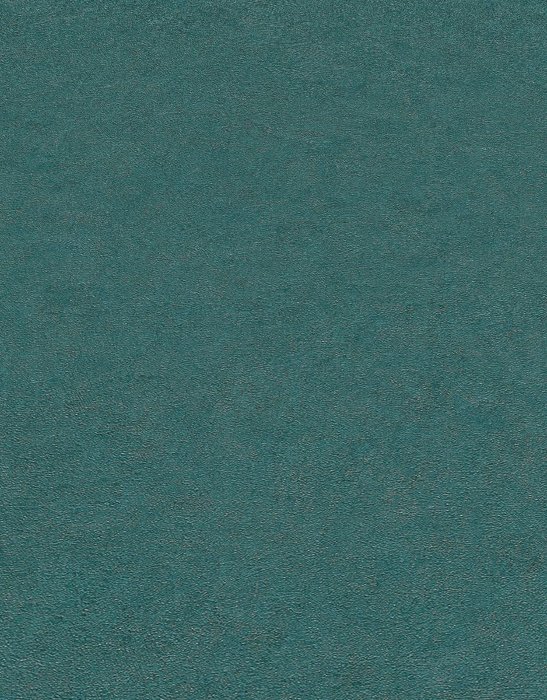 Обои 12187-19 (6) винил. горячего тиснения на флиз. основе 1,06*10,05 Fashion for Walls 4 Erismann