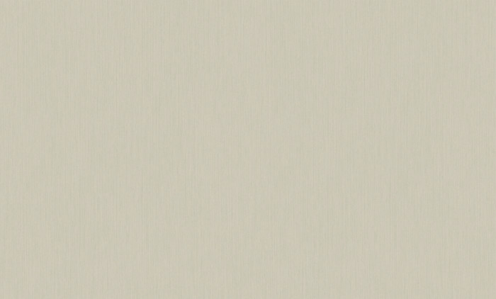 Обои 60980-04 (6) винил.горячего тиснения на флиз. основе 1,06*10,05 Basic Etel Erismann