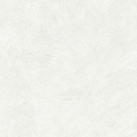 Обои 8921-40 Sylvana AS Creation виниловые горячего тиснения на флиз. основе 1,06*10,05