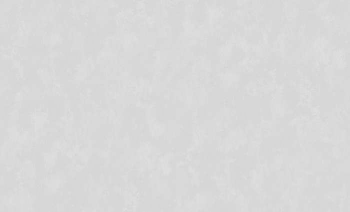 Обои 60982-02 (6) винил.горячего тиснения на флиз. основе 1,06*10,05 Benefit Kelly Erismann