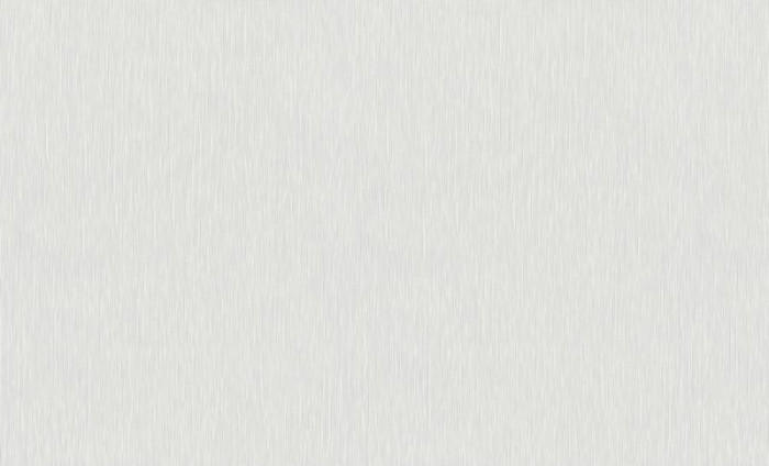 Обои 12186-31 (6) винил. горячего тиснения на флиз. основе 1,06*10,05 Fashion for Walls 4 Erismann