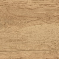 GT220VG Керамогранит Florida GT Бежевый 30x60