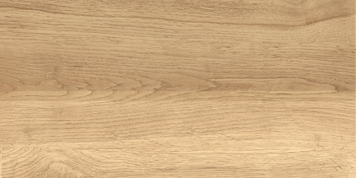 GT220VG Керамогранит Florida GT Бежевый 30x60