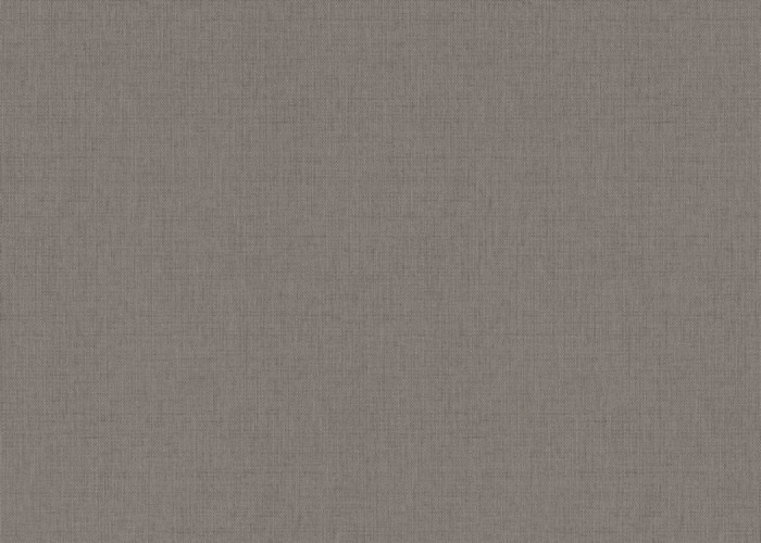 Обои 12257-11 (6) винил. горячего тиснения на флиз. основе 1,06*10,05 Fashion for walls 5 Erismann