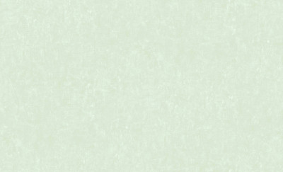Обои 60684-04 (6) винил.горячего тиснения на флиз. основе 1,06*10,05 Benefit Botanika Erismann