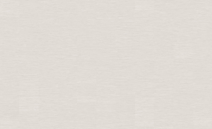 Обои 60987-05 (6) винил.горячего тиснения на флиз. основе 1,06*10,05 Nihonga Erismann