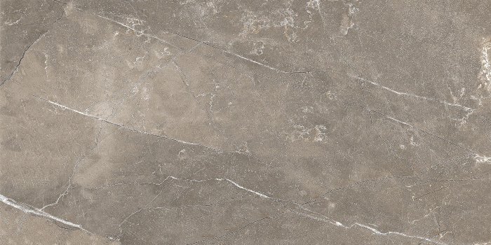 GT122VG Плитка облиц. Siluet GT Кор. 50*25   1 \74,25
