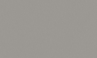 Обои 8923-19 (6) винил. горячего тиснения на флиз. основе 1,06*10,05 Bloom WallSecret Comfort